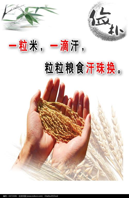 哪里能买到布鲁克斯托学院文凭毕业证